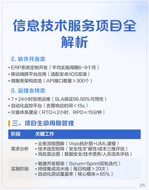 信息技术服务项目全解析